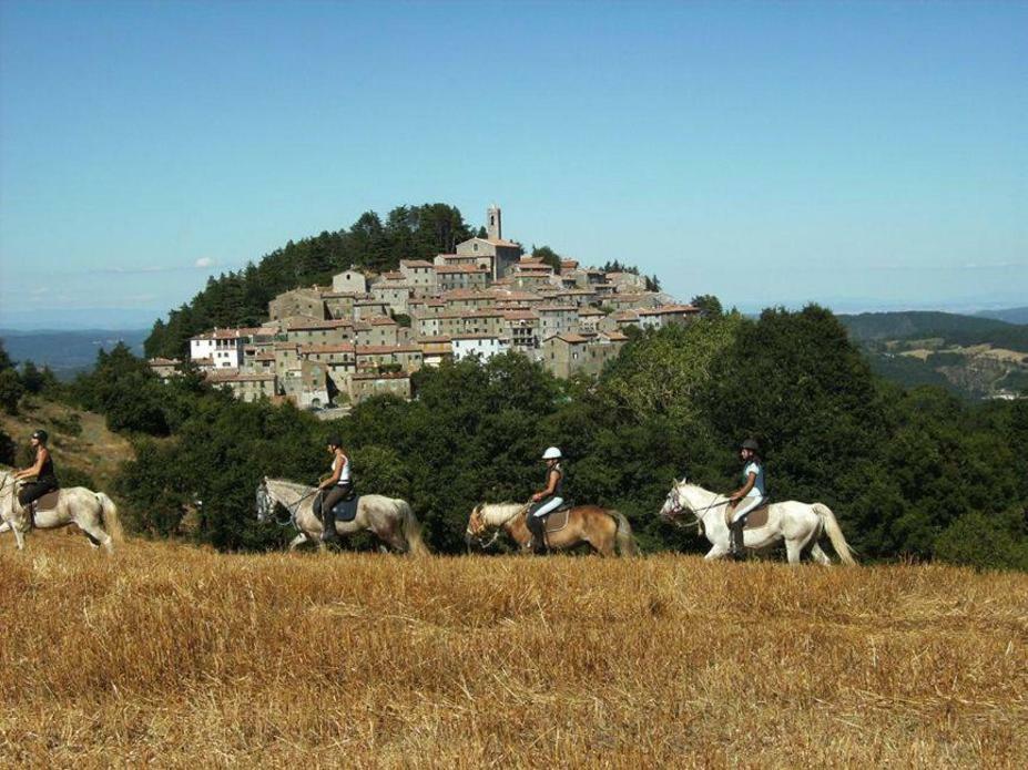 Luciano E Norma House Il Rustico Βίλα Gerfalco Εξωτερικό φωτογραφία